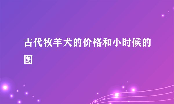 古代牧羊犬的价格和小时候的图