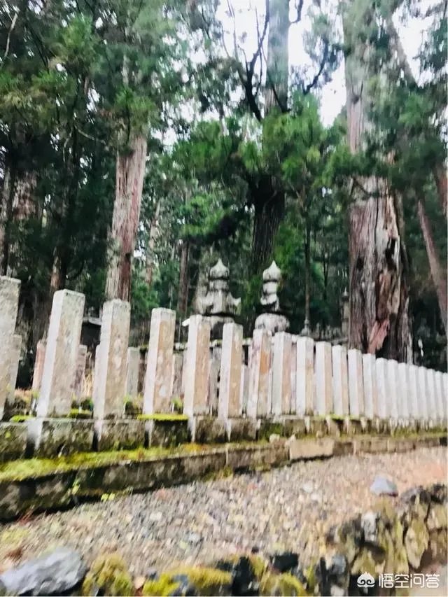 请问最近有没有去过高野山的朋友？