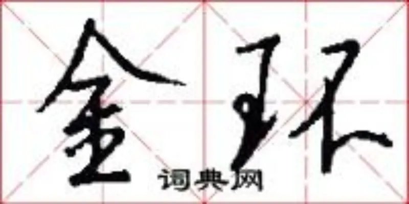 金环