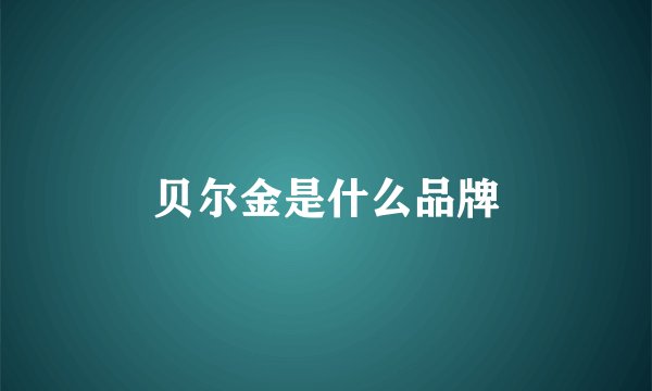 贝尔金是什么品牌