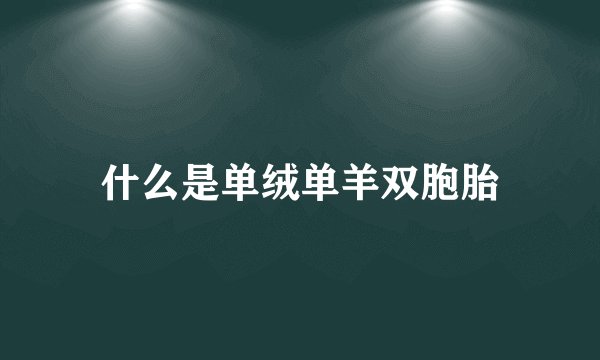 什么是单绒单羊双胞胎