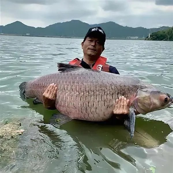 为什么邓刚钓鱼能吸引那么多粉丝,一路疯涨2000多万?
