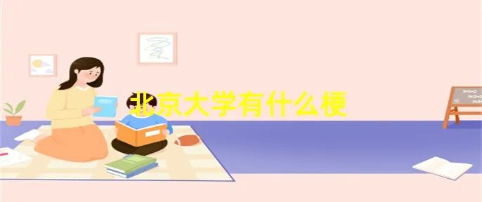 北京大学有什么梗