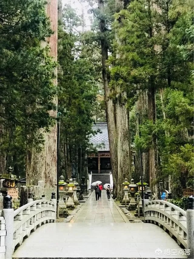 请问最近有没有去过高野山的朋友？