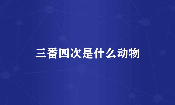 三番四次是什么动物