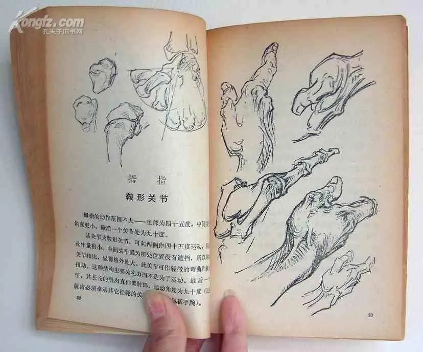 百图的介绍