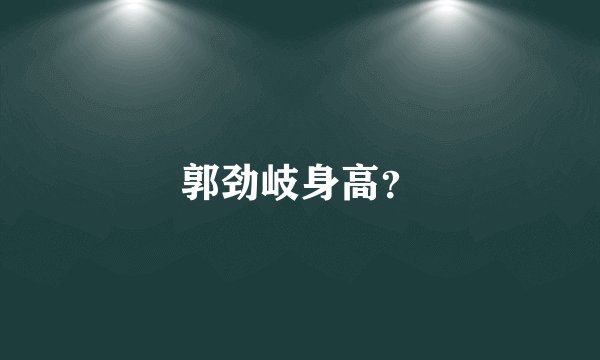郭劲岐身高？