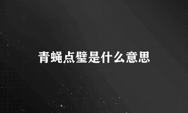 青蝇点璧是什么意思