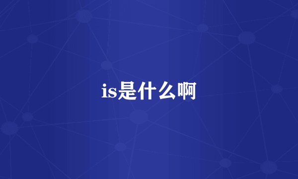 is是什么啊
