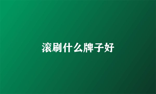 滚刷什么牌子好