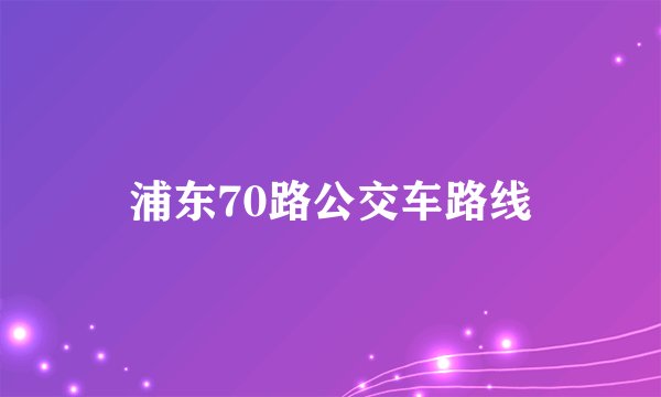 浦东70路公交车路线