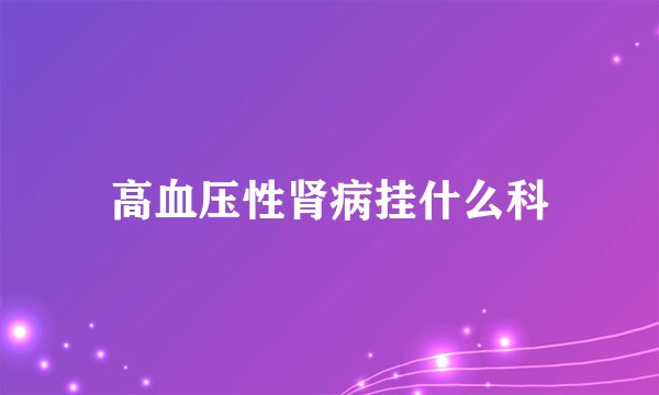 高血压性肾病挂什么科