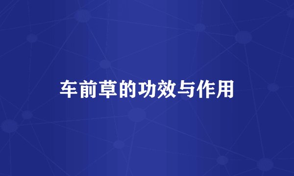 车前草的功效与作用