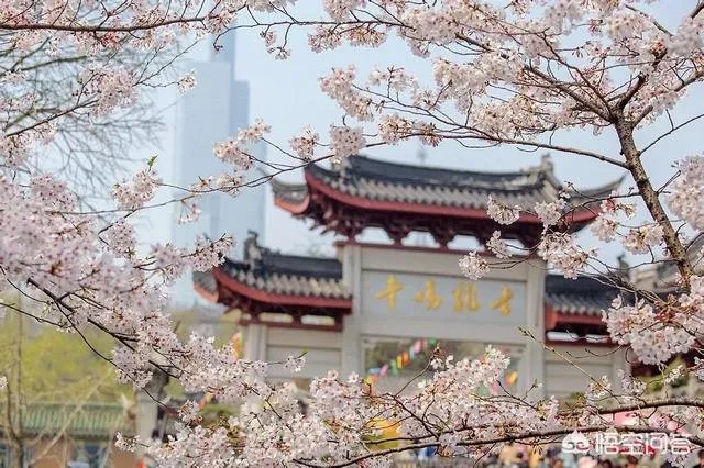 南京鸡鸣寺那里的明城墙收30元门票,你认为值么?