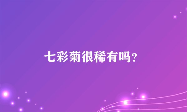 七彩菊很稀有吗？