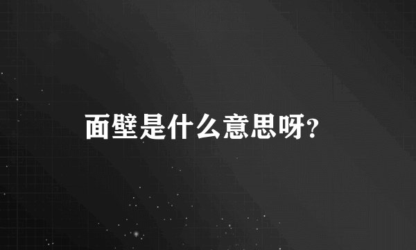 面壁是什么意思呀?