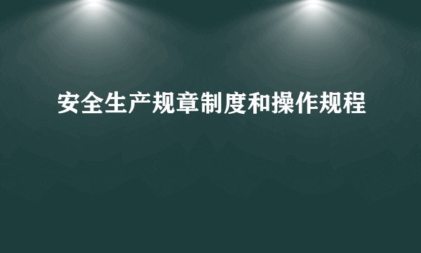 安全生产规章制度和操作规程