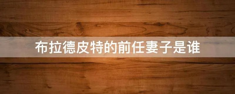 布拉德皮特的前任妻子是谁