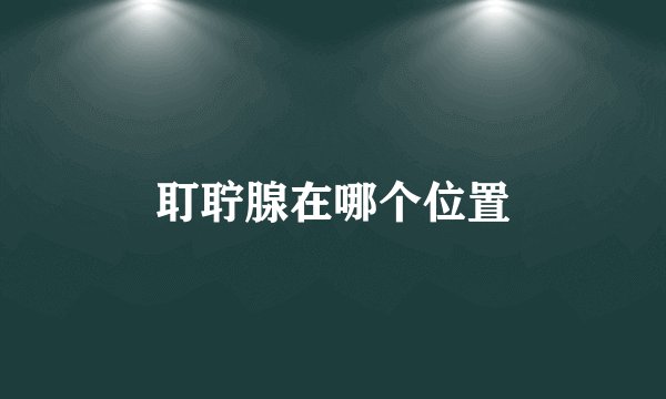 耵聍腺在哪个位置