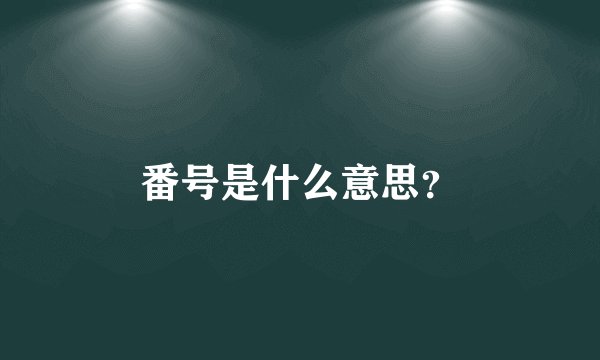 番号是什么意思？