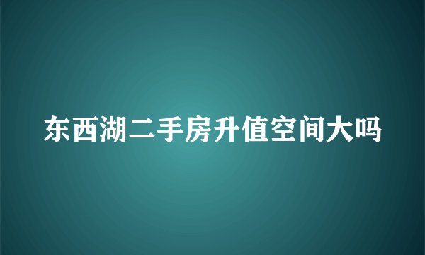 东西湖二手房升值空间大吗