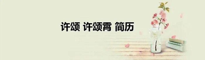 许颂 许颂霄 简历