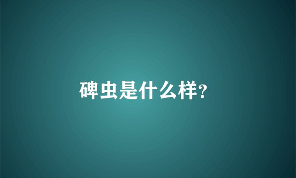 碑虫是什么样？