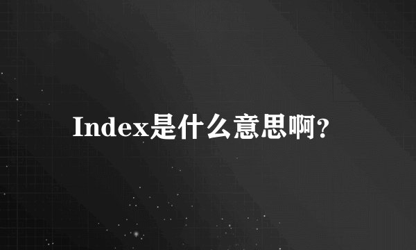 Index是什么意思啊？