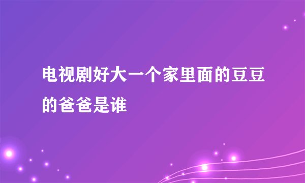 电视剧好大一个家里面的豆豆的爸爸是谁