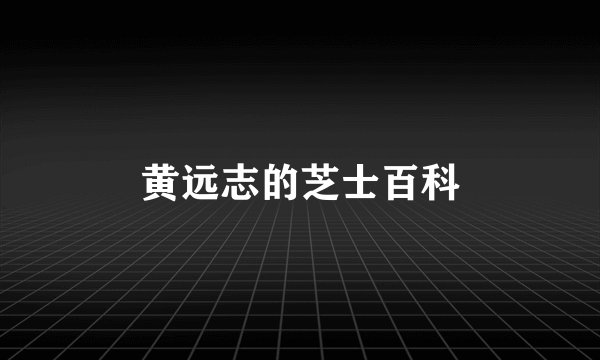 黄远志的芝士百科