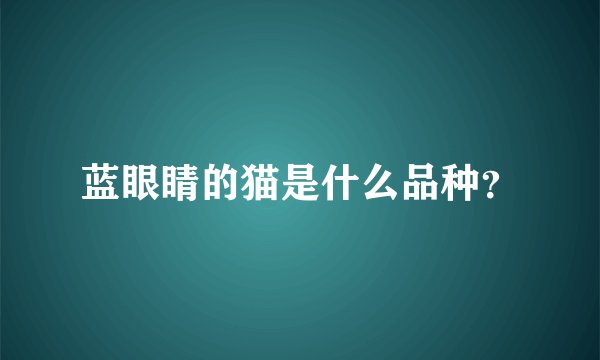 蓝眼睛的猫是什么品种？