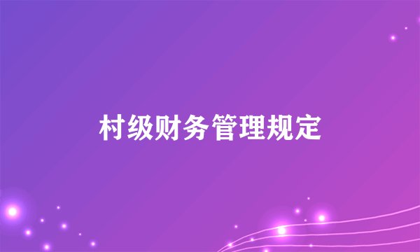 村级财务管理规定