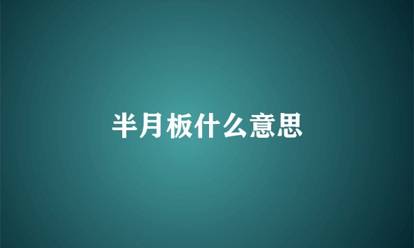 半月板什么意思
