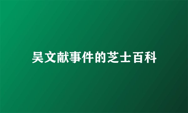 吴文献事件的芝士百科