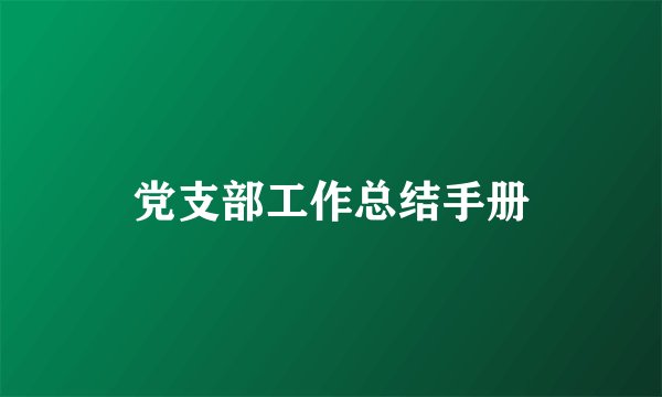 党支部工作总结手册