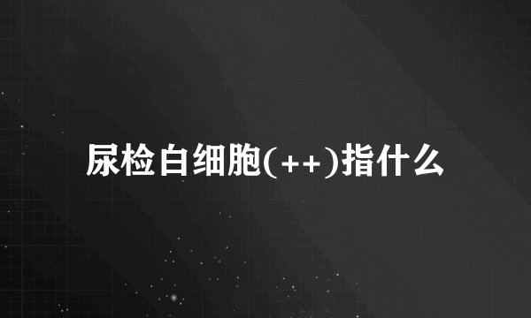 尿检白细胞(++)指什么