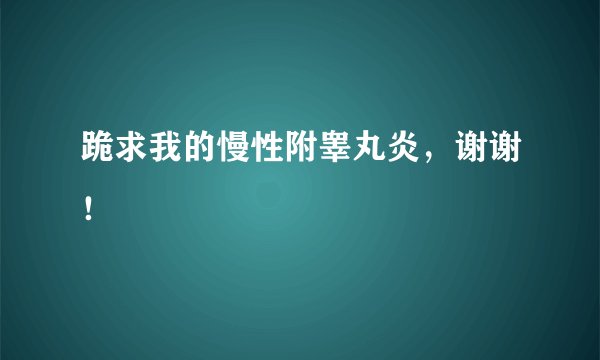 跪求我的慢性附睾丸炎，谢谢！