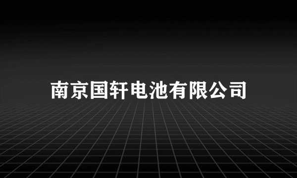 南京国轩电池有限公司