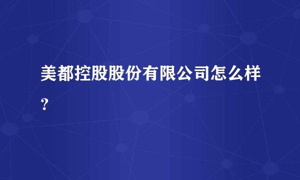 美都控股股份有限公司怎么样？