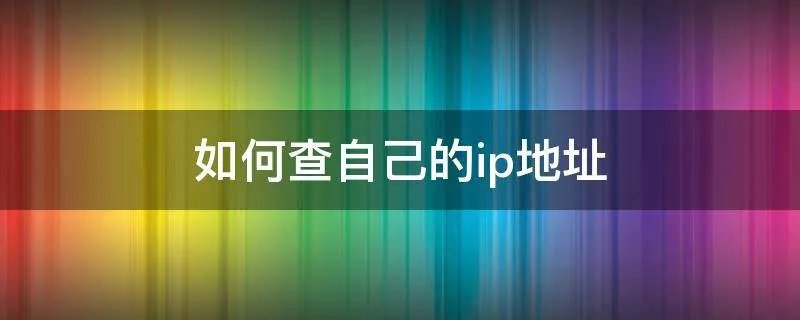 如何查自己的ip地址