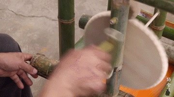 61岁中国大爷火爆外媒!靠“玩”木头炸翻热搜,惹上亿老外看傻眼:简直是宝藏爷爷!