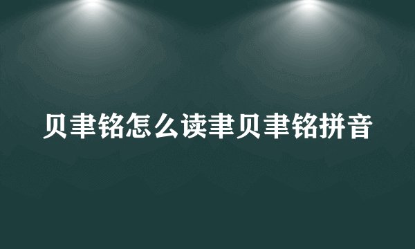 贝聿铭怎么读聿贝聿铭拼音