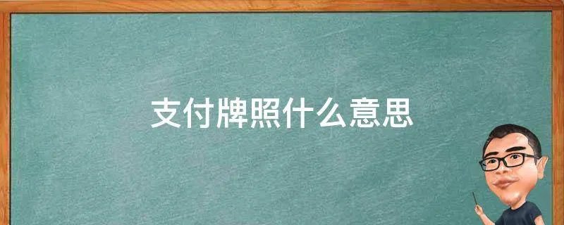 支付牌照什么意思