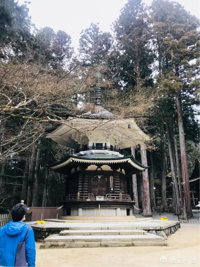 请问最近有没有去过高野山的朋友？