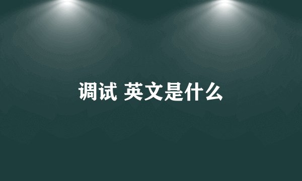 调试 英文是什么