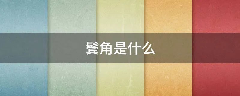 鬓角是什么