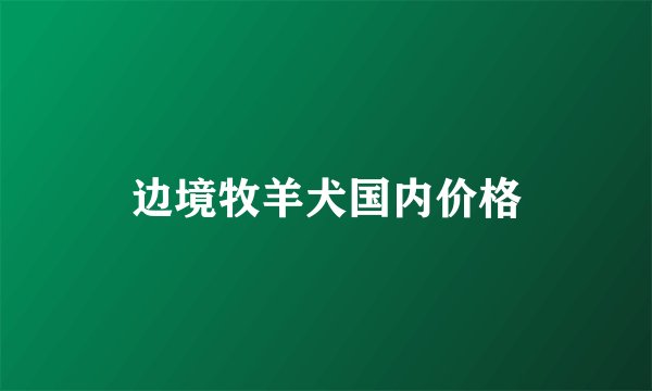 边境牧羊犬国内价格