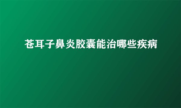 苍耳子鼻炎胶囊能治哪些疾病