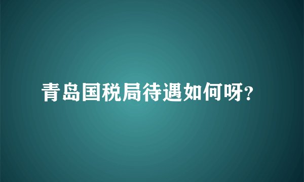 青岛国税局待遇如何呀？