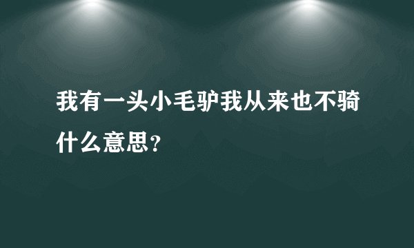 我有一头小毛驴我从来也不骑什么意思？